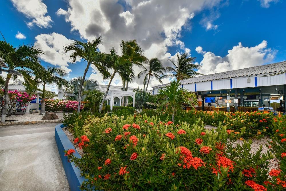 Aruba Blue Village Hotel And Apartments Палм Бич Экстерьер фото
